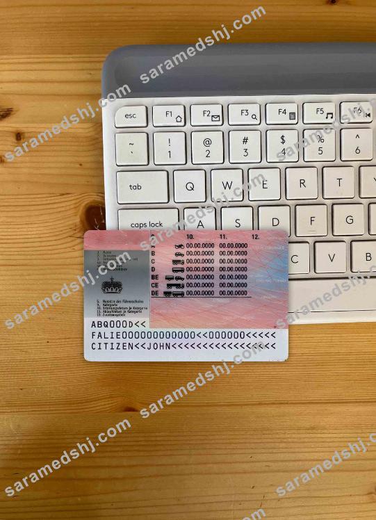 Liechtenstein driving license photolook BACK